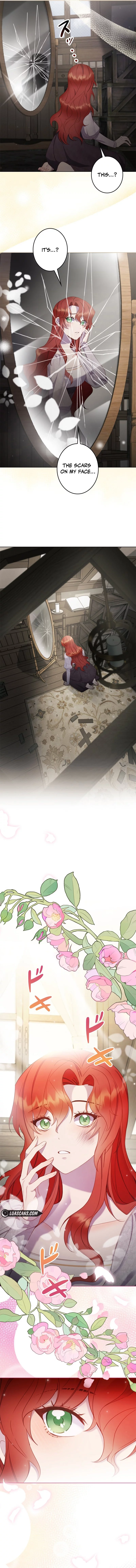 I refuse the attachment of the emperor who abandoned me Chapter 2 image 9